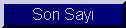 son sayi